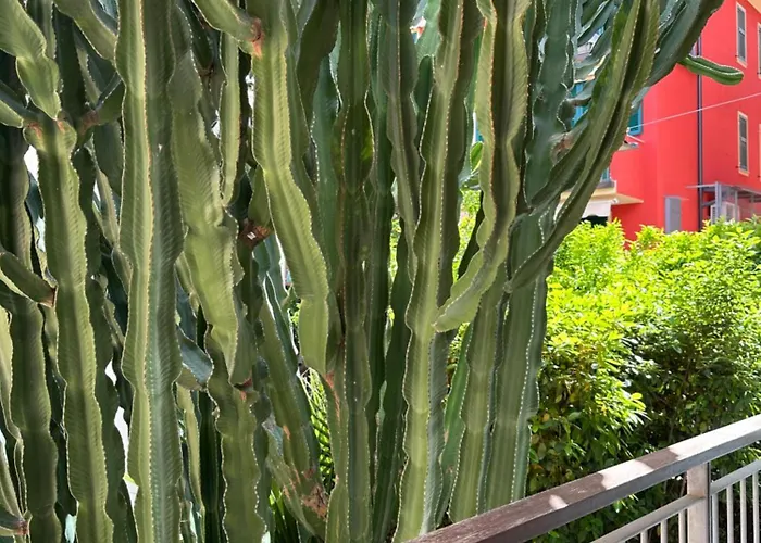 Mambo 호텔 라이구에글리아