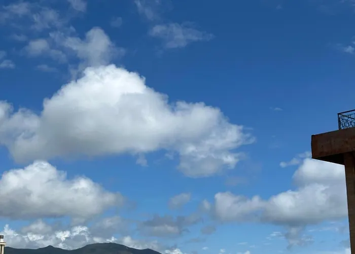 Mambo 라이구에글리아