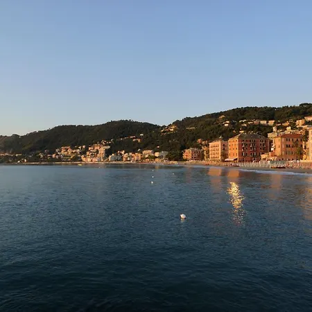 Mambo Hotel