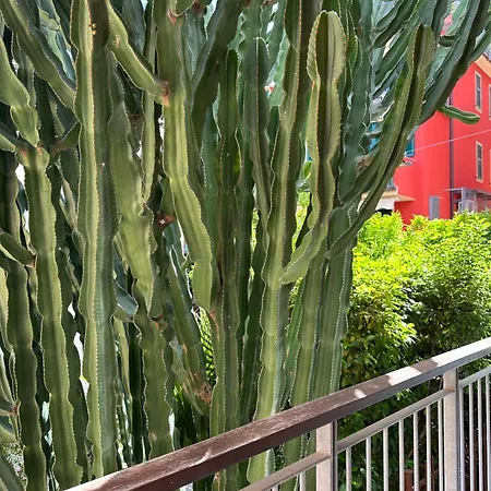 Mambo Hotel Laigueglia