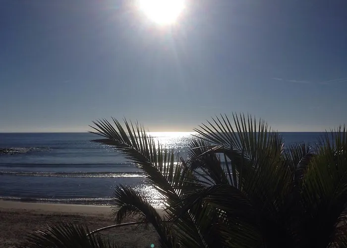 ホテル Mambo ライグエーリア